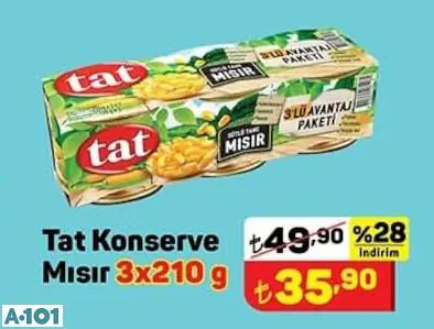 TAT KONSERVE MISIR